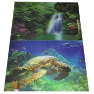 Картина 3D PET 25/35 един. картина