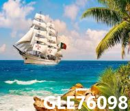 Диамантен гоблен 40/50 в кутия внос