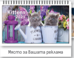 К-р пирамида малка ПК2 + 10 вида Дж. 2027