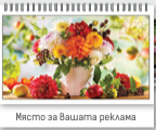 К-р пирамида малка ПК2 + 10 вида Дж. 2027