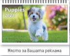 К-р пирамида малка ПК2 + 10 вида Дж. 2027